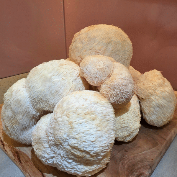 I want it all 8.5 kg, Ciuperci Coama Leului